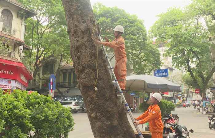 Thời sự trưa (08-04-2024)