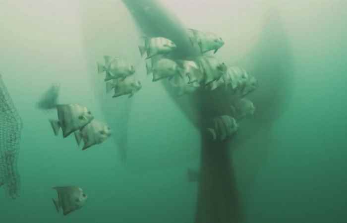  Thời sự trưa (08-06-2023)