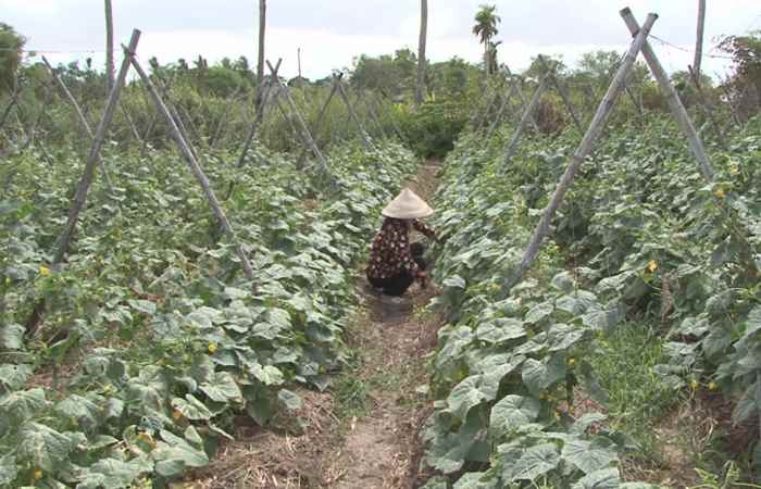 Thời sự trưa 09-05-2020