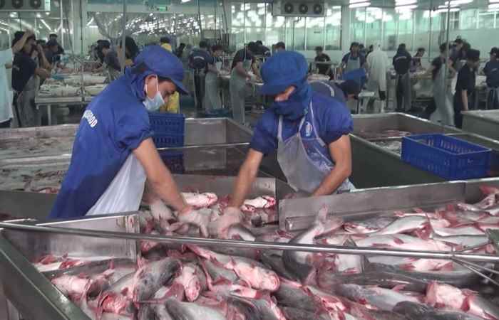 Thời sự trưa 09-06-2020