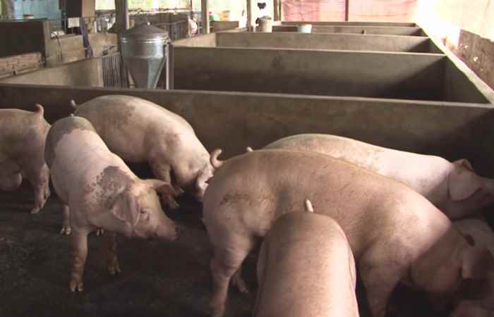 Thời sự trưa (09-11-2021)