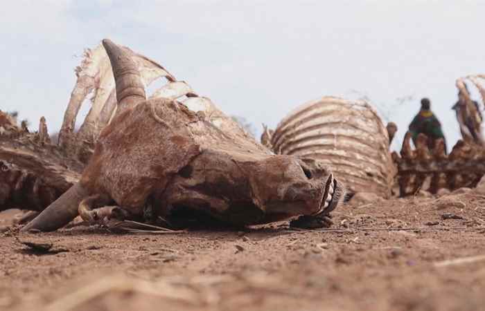 Thời sự trưa (09-11-2022)