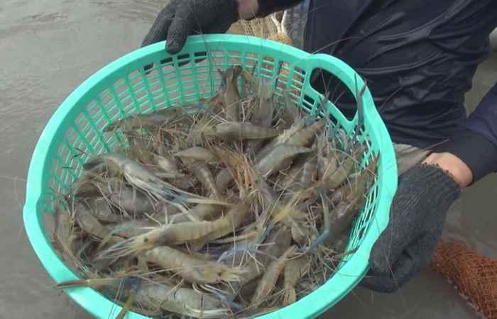 Thời sự trưa 10-01-2020