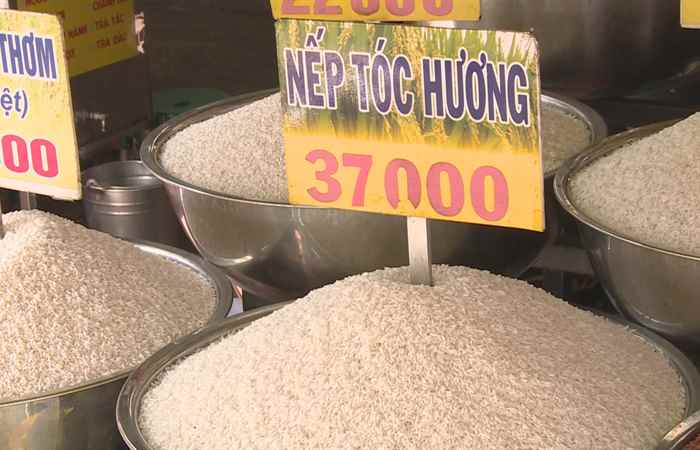 Thời sự trưa (10-01-2024)