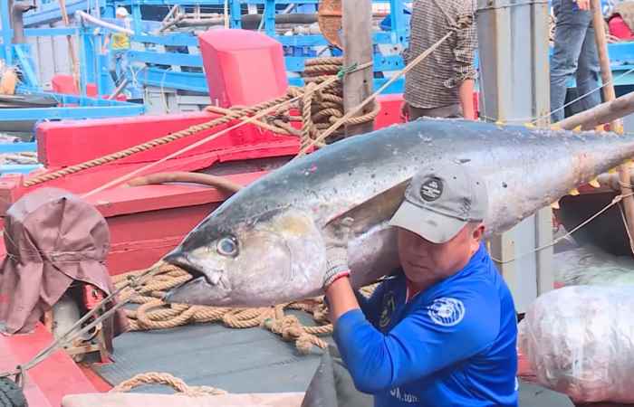 Thời sự trưa (10-02-2023)