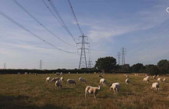  Thời sự trưa (10-11-2022)