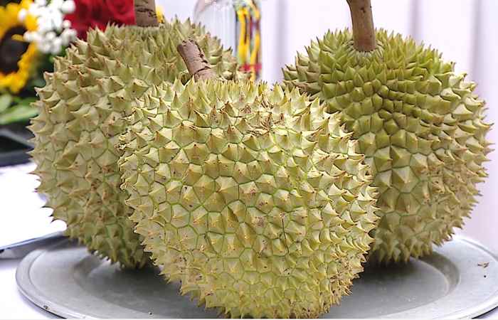 Thời sự trưa 11-06-2025