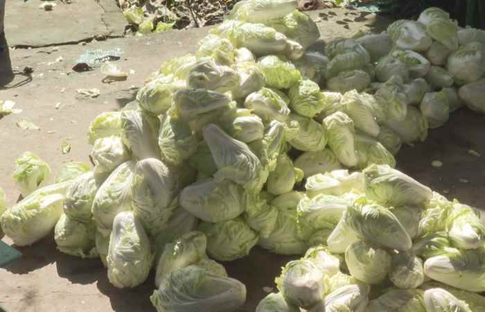 Thời sự trưa (11-07-2021)