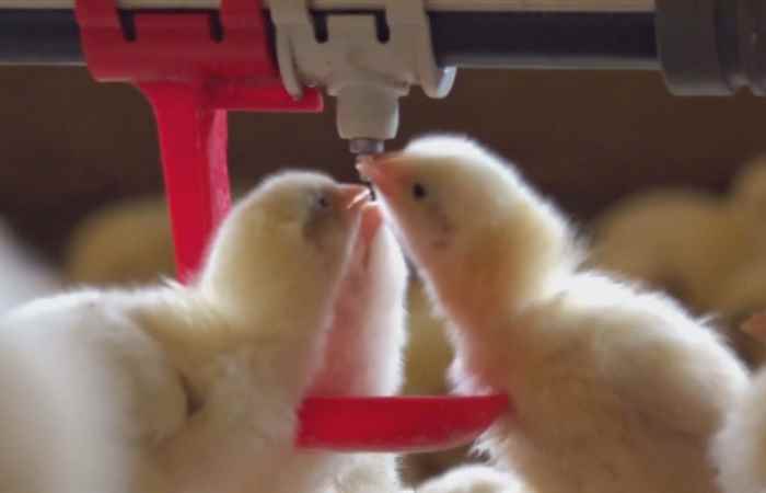 Thời sự trưa (11-09-2022)