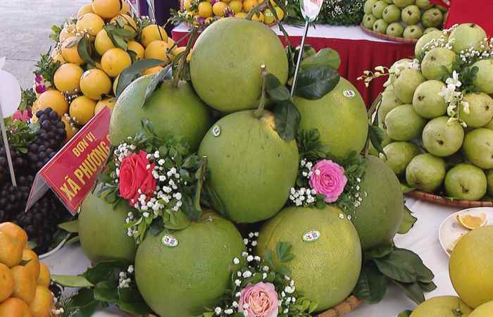 Thời sự trưa (12-11-2021) 