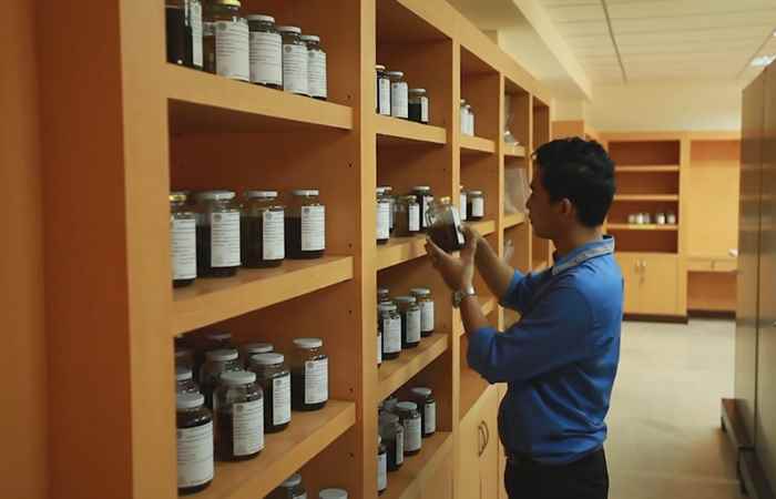 Thời sự trưa (13-06-2023)