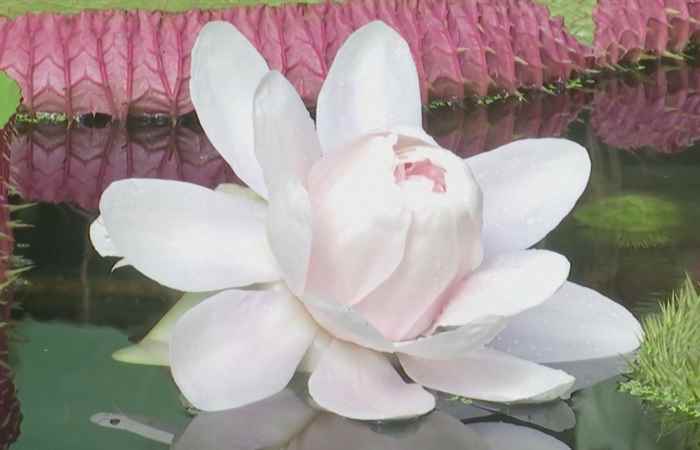 Thời sự trưa (13-10-2023)