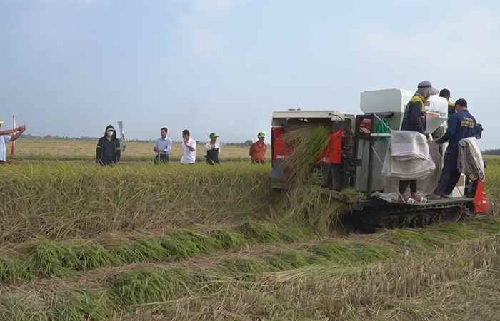 Thời sự trưa (14-04-2025)