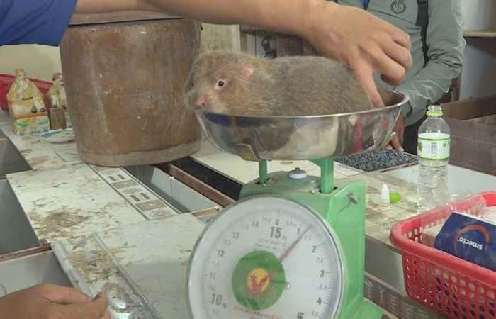 Thời sự trưa 14-05-2020