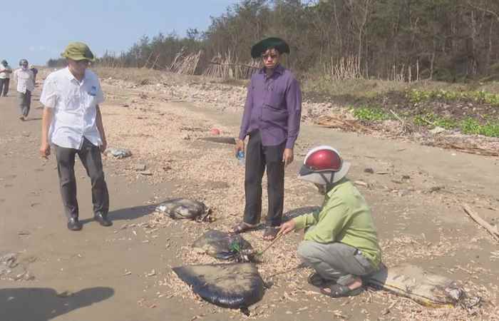 Thời sự trưa 15-03-2020