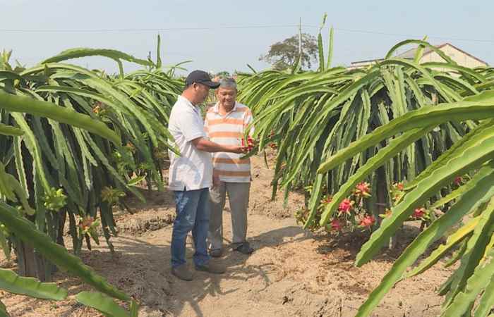 Thời sự trưa (15-03-2021)