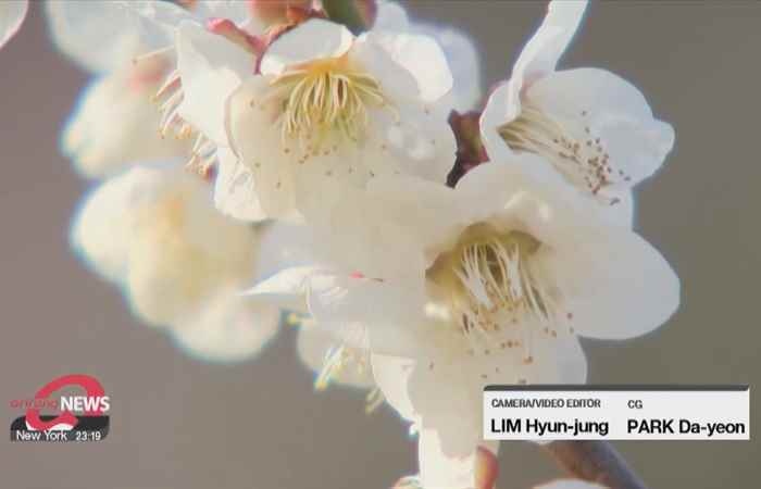  Thời sự trưa (15-03-2023)
