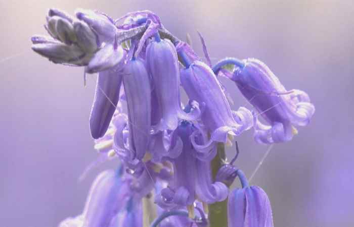 Thời sự trưa (15-04-2022)