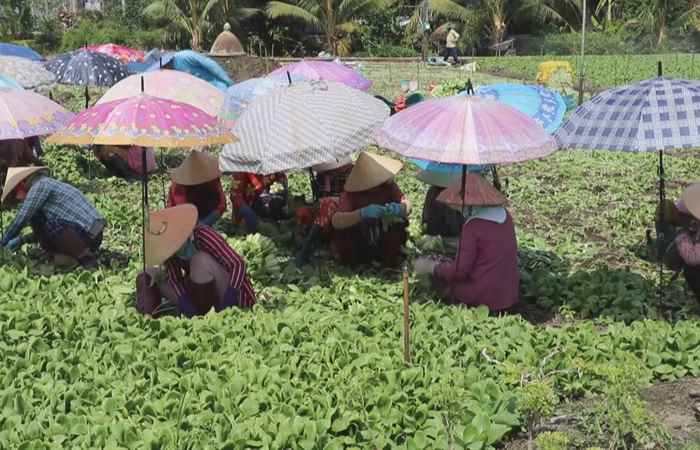 Thời sự trưa (15-06-2024)