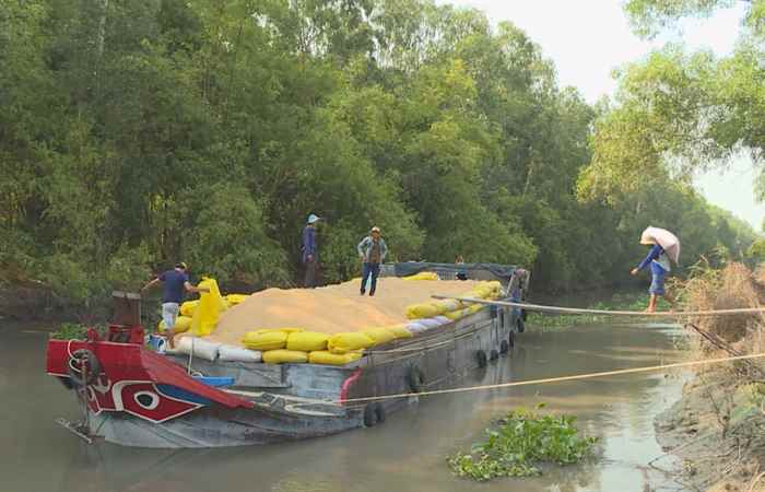 Thời sự trưa (15-08-2021)