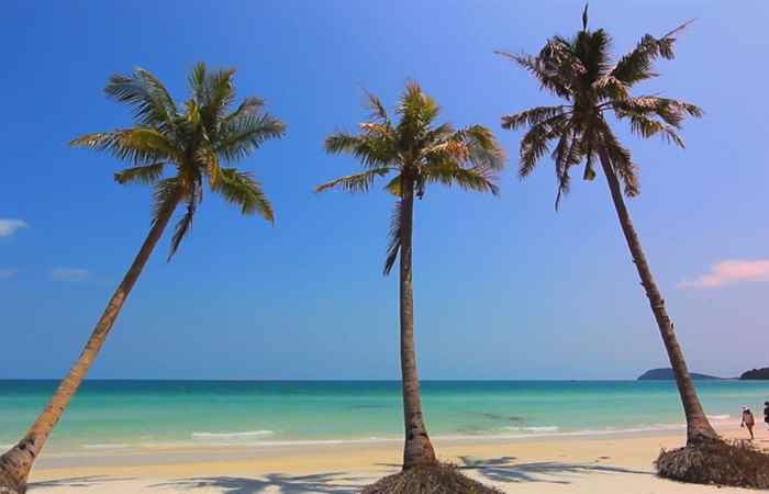 Thời sự trưa 17-04-2019