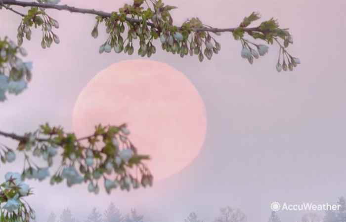 Thời sự trưa (17-04-2022)