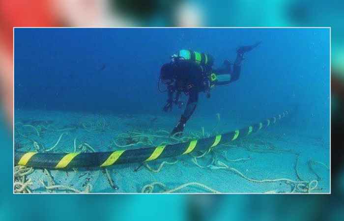 Thời sự trưa 17-05-2020