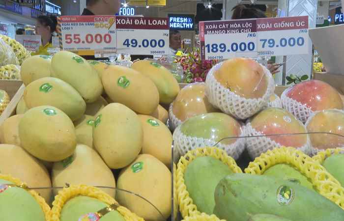 Thời sự trưa (17-05-2025)