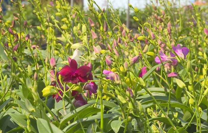 Thời sự trưa 17-06-2019