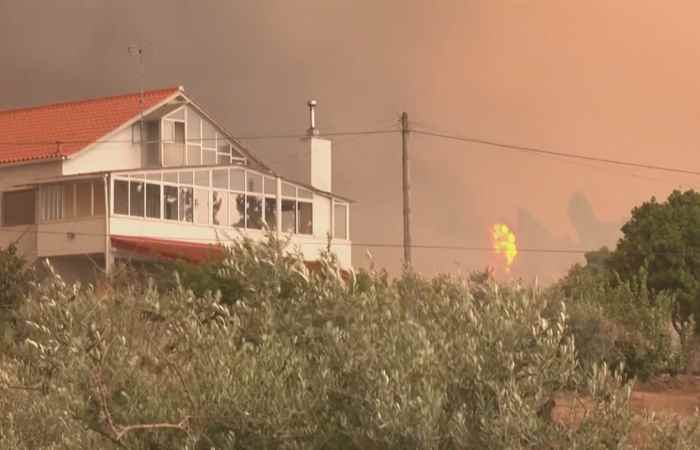 Thời sự trưa (17-07-2022)