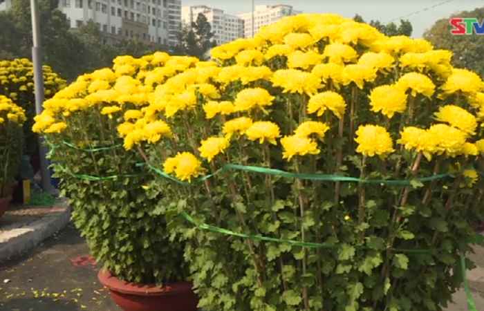 Thời sự trưa 18-01-2020