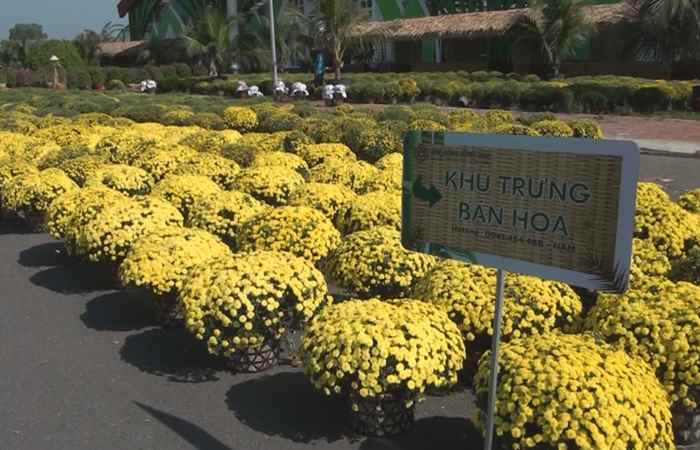  Thời sự trưa (18-01-2022)