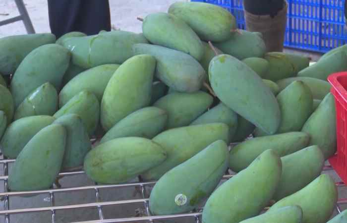 Thời sự trưa (18-03-2022)