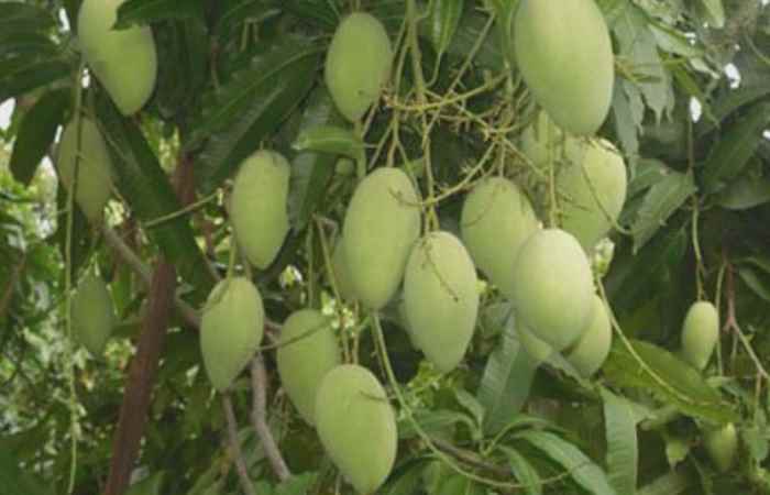 Thời sự trưa 18-04-2019