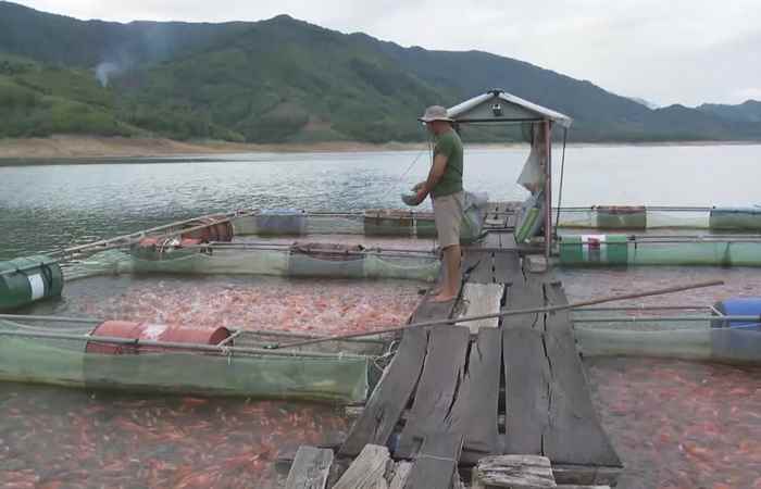 Thời sự trưa (18-09-2023)