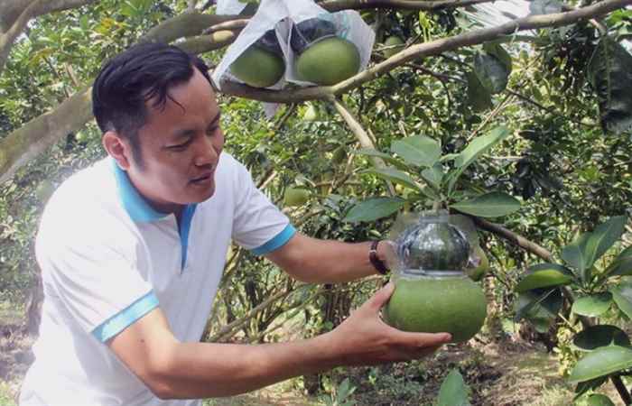 Thời sự trưa (18-12-2021)