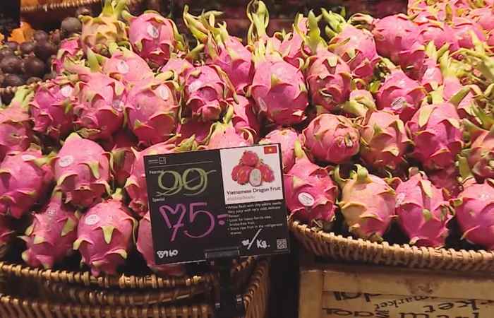 Thời sự trưa 19-09-2019