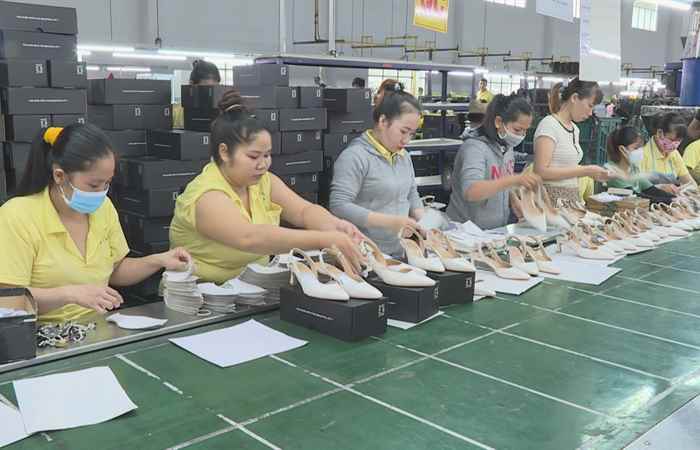 Thời sự trưa (19-10-2023)