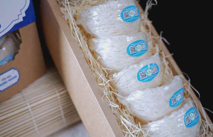 Thời sự trưa (19-12-2024)