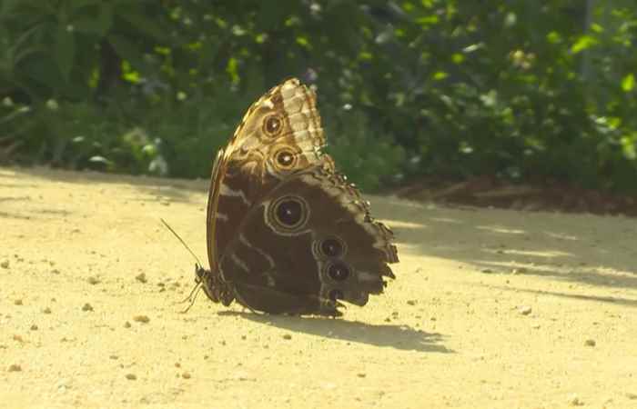 Thời sự trưa (20-04-2022)