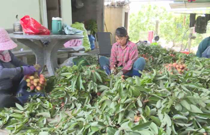 Thời sự trưa (20-05-2025)
