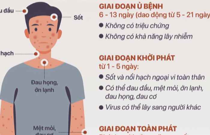 Thời sự trưa (20-08-2024)