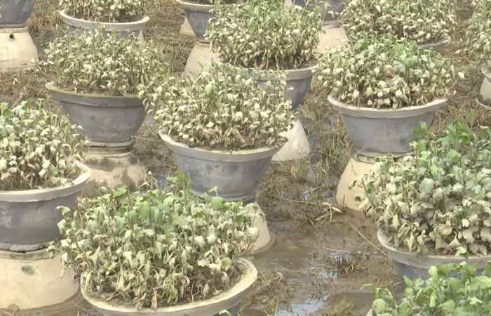  Thời sự trưa (20-10-2022)