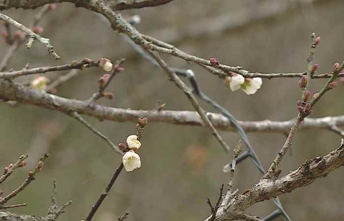 Thời sự trưa 20-12-2020