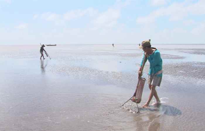 Thời sự trưa 21-02-2020