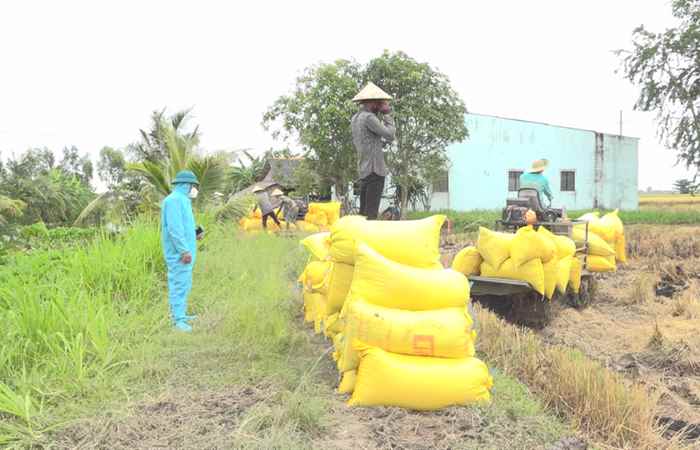 Thời sự trưa (21-08-2021)