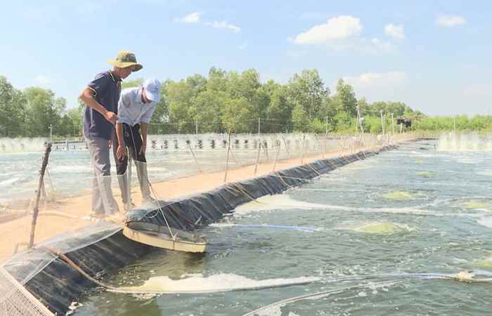  Thời sự trưa (21-08-2022)