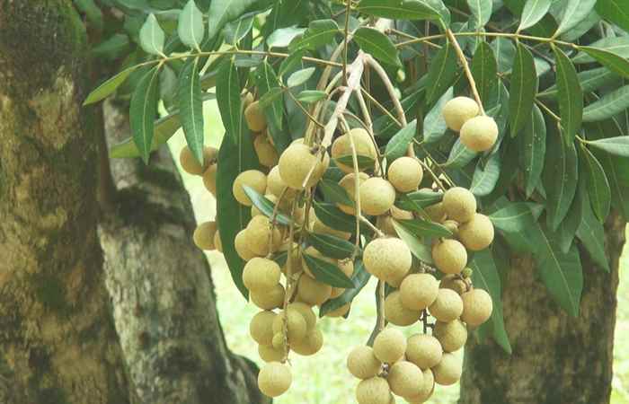 Thời sự trưa (21-08-2023)
