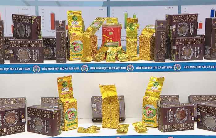 Thời sự trưa 21-12-2020