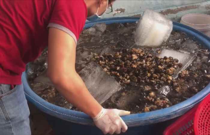 Thời sự trưa (22-01-2021)